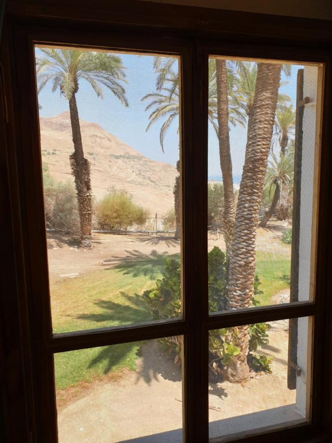 הצימר של יהושע Kibbutz Kibbutz Ein Gedi Exterior foto